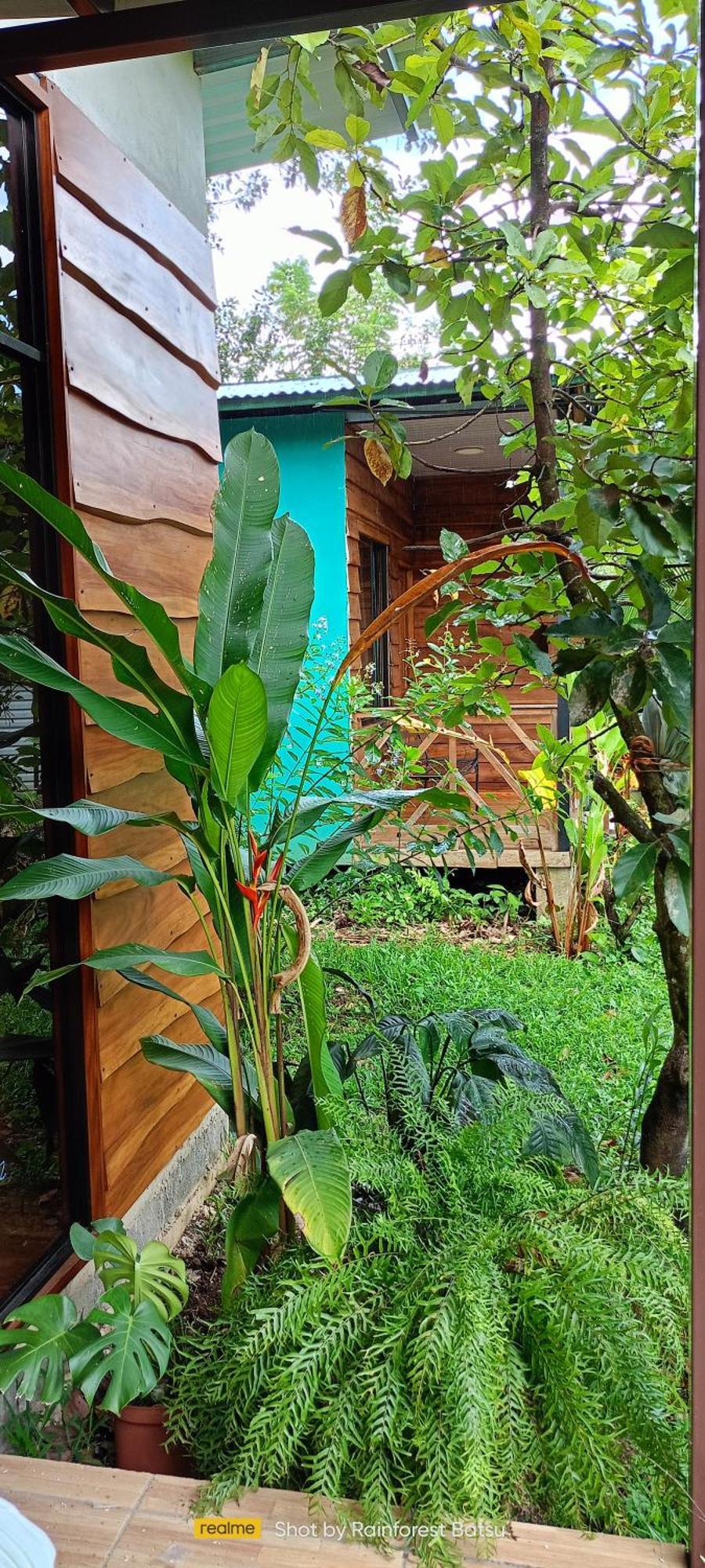 Bungalow Batsu La Fortuna Luaran gambar